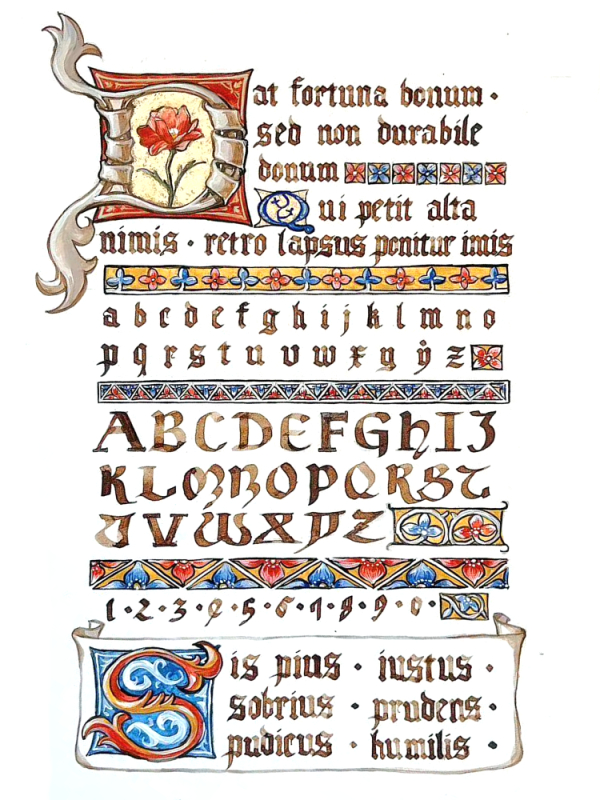 魔女竟是我自己[西幻]